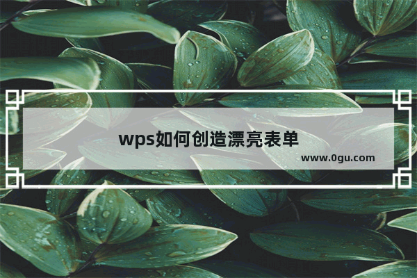 wps如何创造漂亮表单