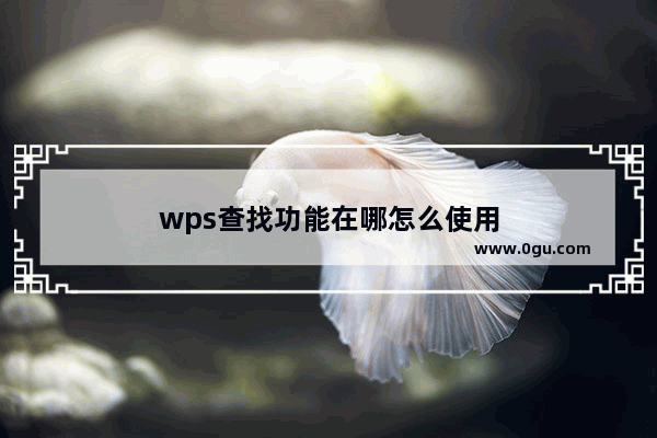 wps查找功能在哪怎么使用