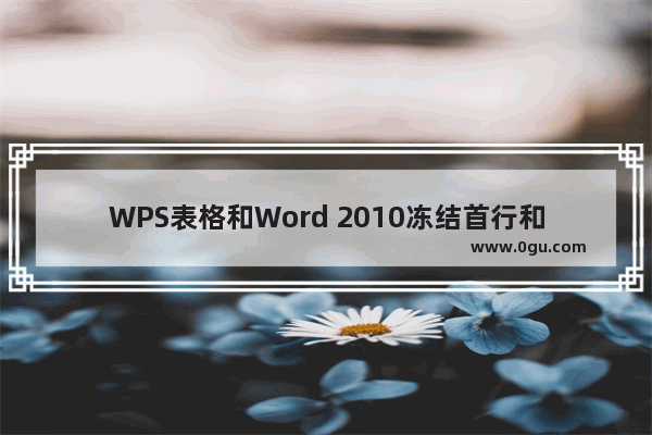 WPS表格和Word 2010冻结首行和首列图文教程