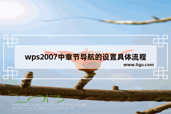 wps2007中章节导航的设置具体流程