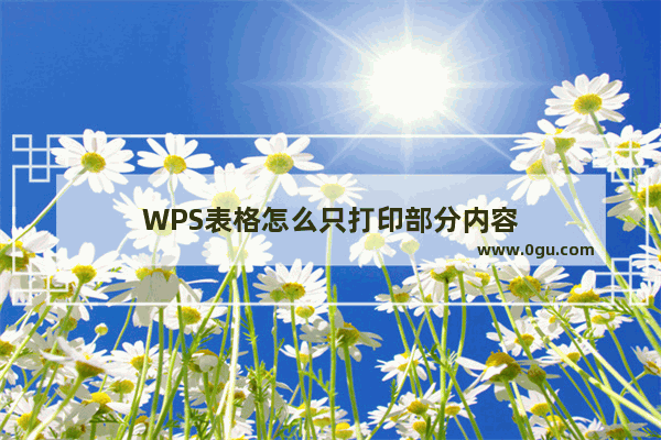 WPS表格怎么只打印部分内容