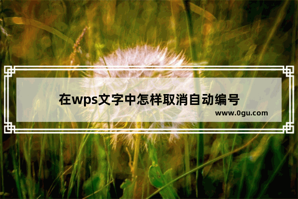 在wps文字中怎样取消自动编号