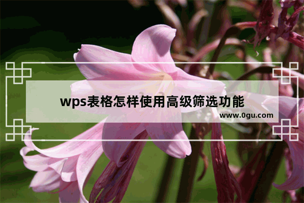 wps表格怎样使用高级筛选功能