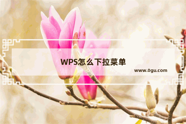 WPS怎么下拉菜单