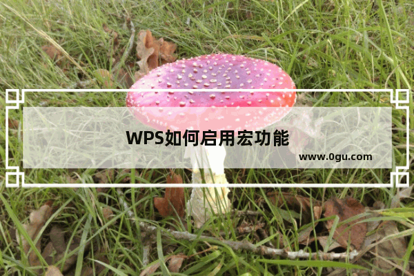 WPS如何启用宏功能