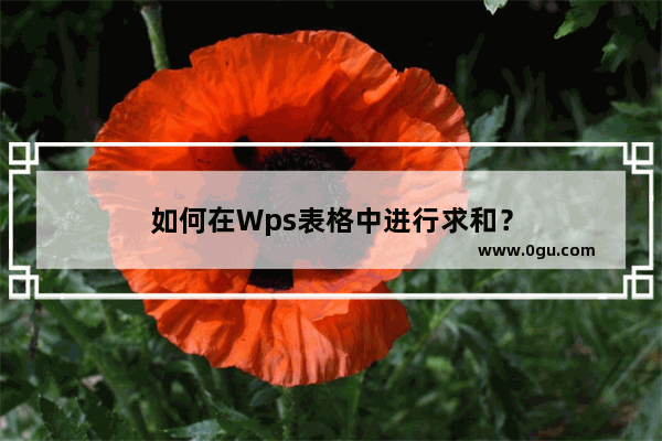 如何在Wps表格中进行求和？