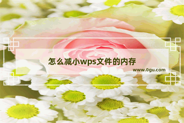 怎么减小wps文件的内存