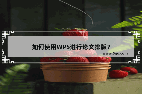 如何使用WPS进行论文排版？