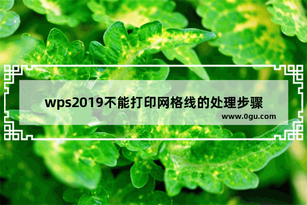 wps2019不能打印网格线的处理步骤