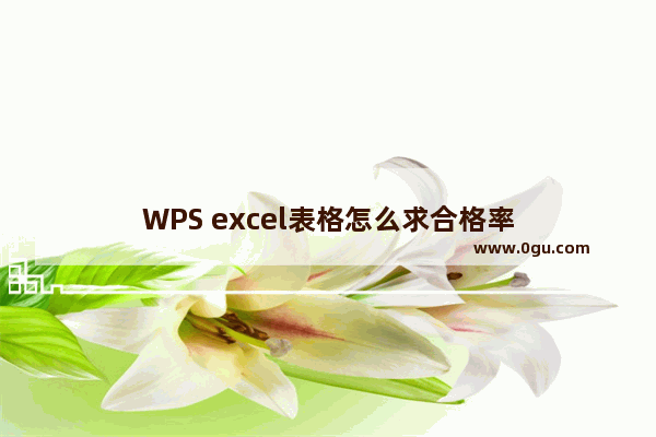 WPS excel表格怎么求合格率