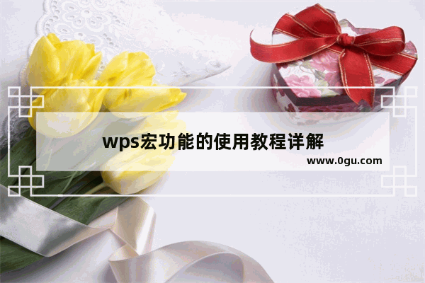 wps宏功能的使用教程详解