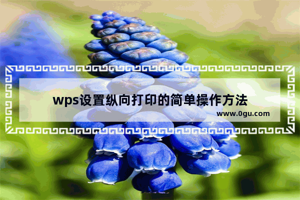 wps设置纵向打印的简单操作方法