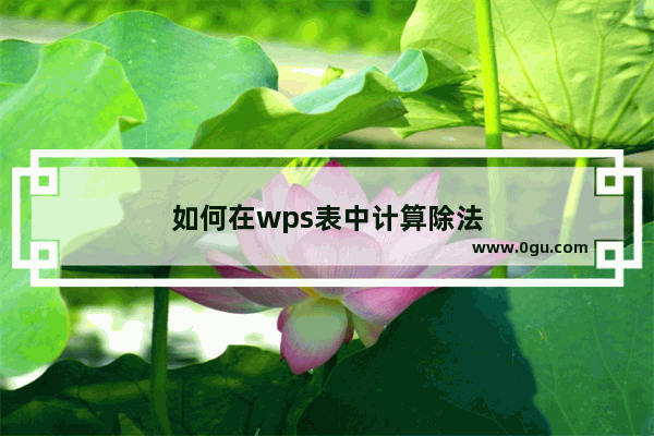 如何在wps表中计算除法