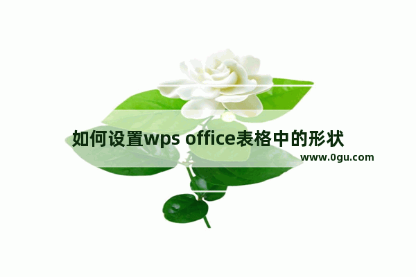 如何设置wps office表格中的形状轮廓？