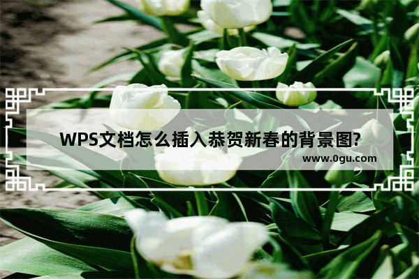 WPS文档怎么插入恭贺新春的背景图?