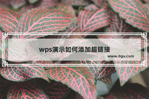 wps演示如何添加超链接