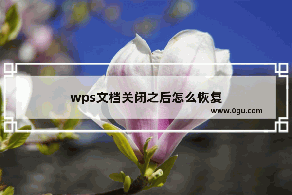 wps文档关闭之后怎么恢复