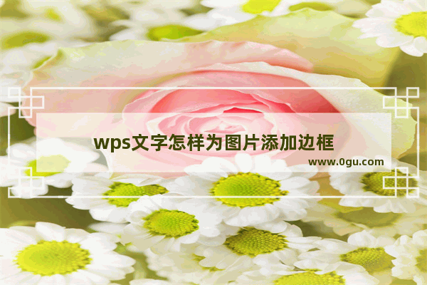 wps文字怎样为图片添加边框