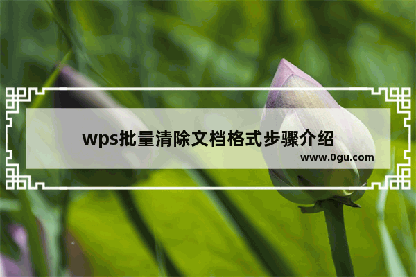 wps批量清除文档格式步骤介绍