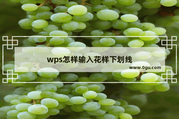 wps怎样输入花样下划线