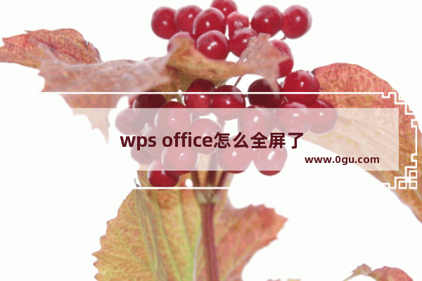 wps office怎么全屏了