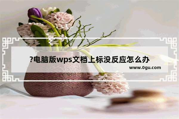 ?电脑版wps文档上标没反应怎么办