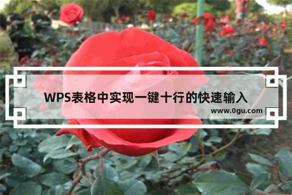 WPS表格中实现一键十行的快速输入