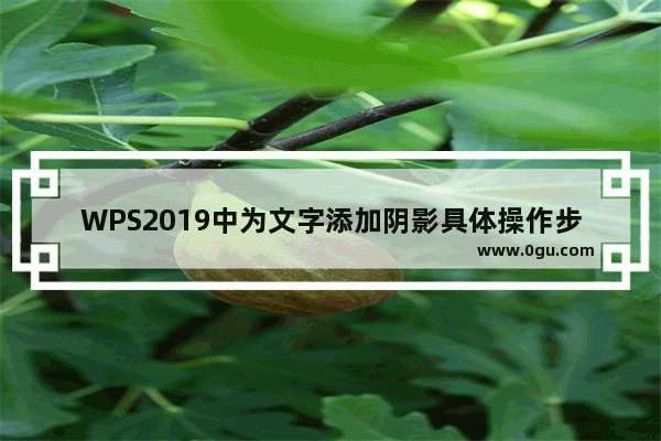 WPS2019中为文字添加阴影具体操作步骤