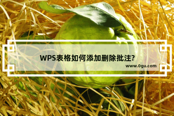 WPS表格如何添加删除批注?