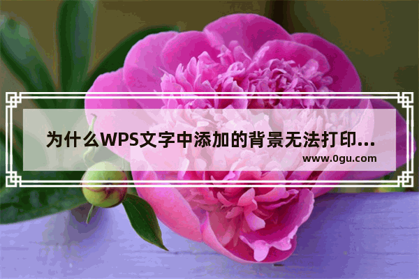 为什么WPS文字中添加的背景无法打印出来。