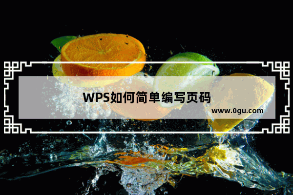 WPS如何简单编写页码