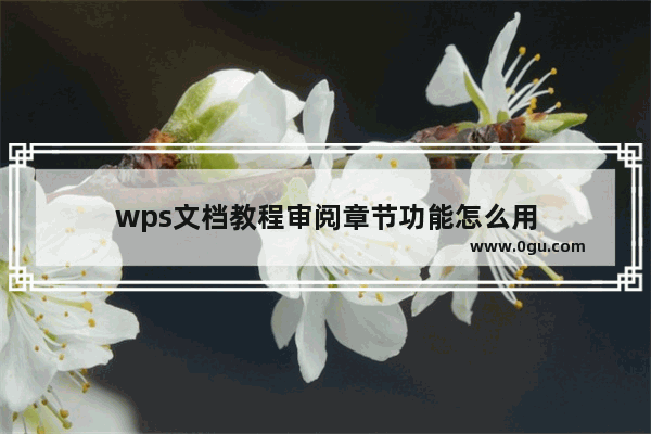 wps文档教程审阅章节功能怎么用