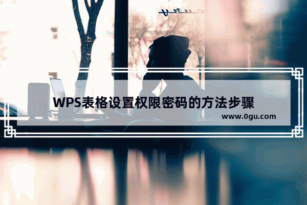 WPS表格设置权限密码的方法步骤