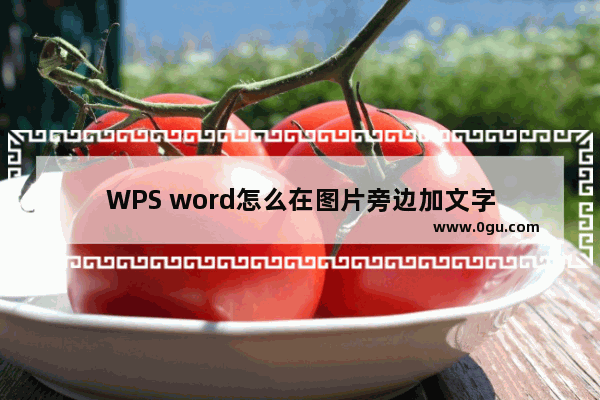 WPS word怎么在图片旁边加文字