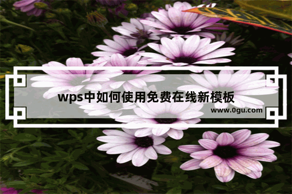 wps中如何使用免费在线新模板