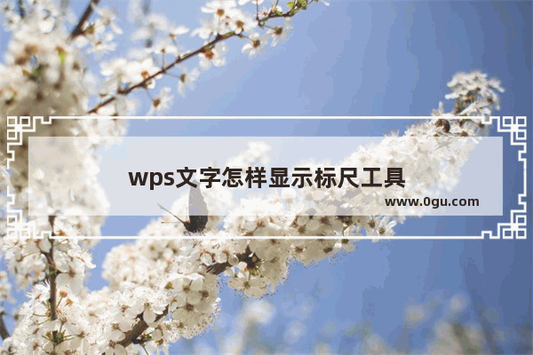 wps文字怎样显示标尺工具