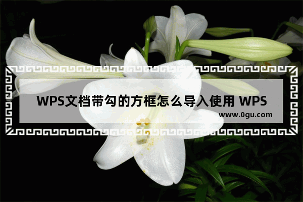 WPS文档带勾的方框怎么导入使用 WPS文档带勾的方框导入使用教学