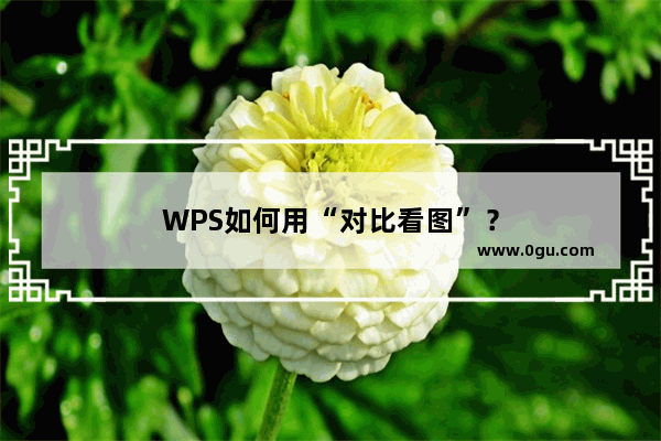 WPS如何用“对比看图”？