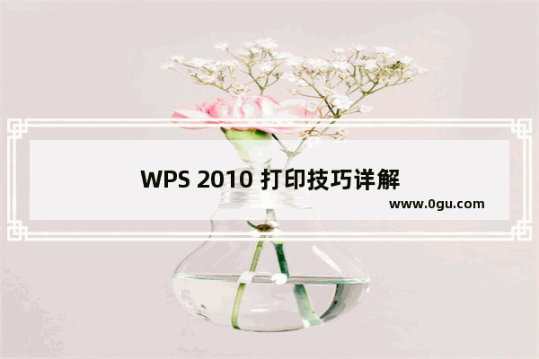 WPS 2010 打印技巧详解