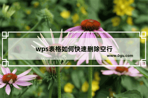 wps表格如何快速删除空行