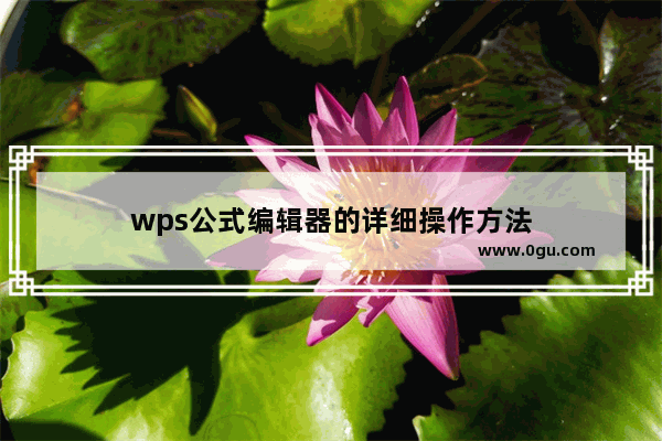 wps公式编辑器的详细操作方法