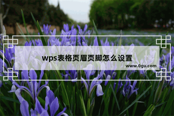 wps表格页眉页脚怎么设置