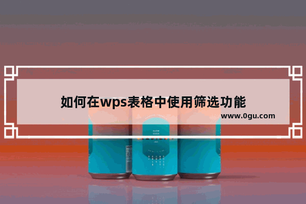 如何在wps表格中使用筛选功能