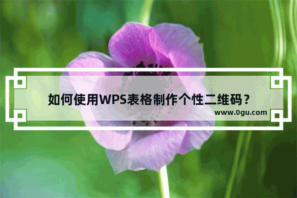 如何使用WPS表格制作个性二维码？