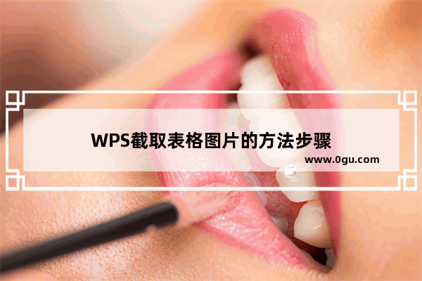 WPS截取表格图片的方法步骤