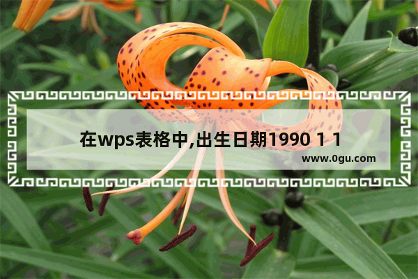 在wps表格中,出生日期1990 1 1,怎么设置成1990 01 01