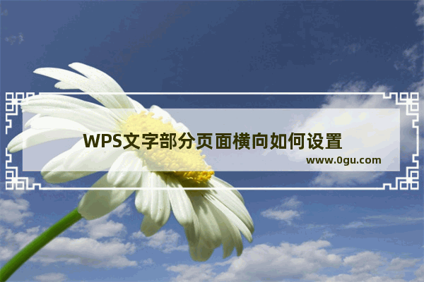 WPS文字部分页面横向如何设置