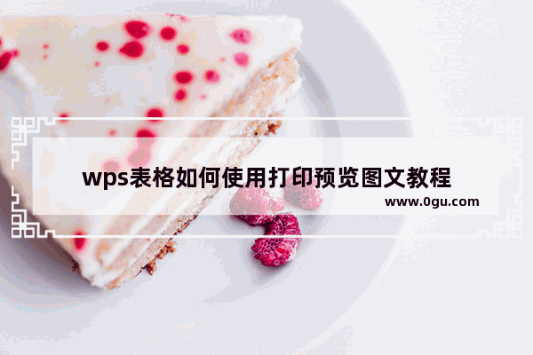 wps表格如何使用打印预览图文教程