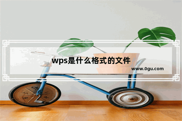 wps是什么格式的文件