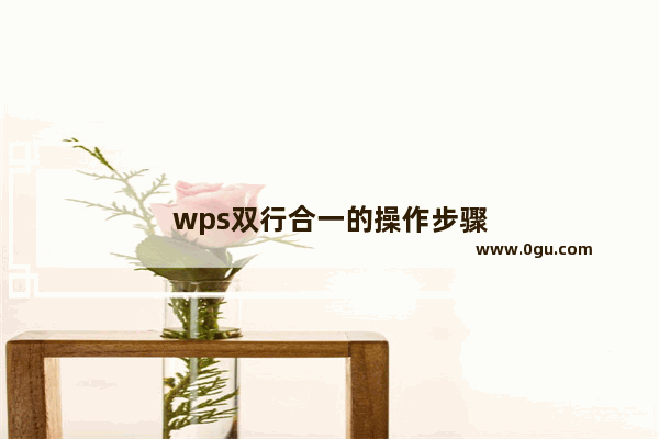 wps双行合一的操作步骤